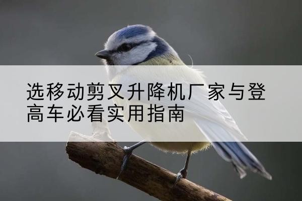 三沙电动升降机厂家-选移动剪叉升降机厂家与登高车必看实用指南
