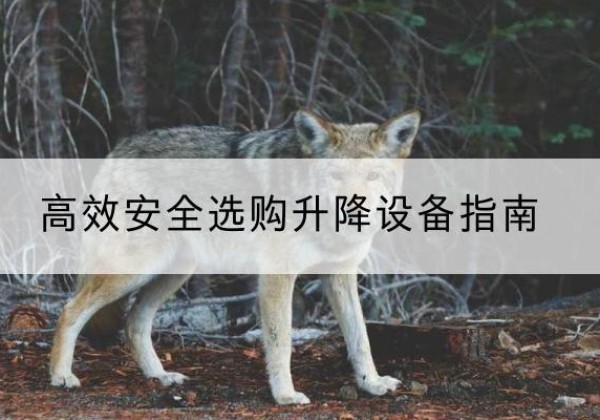 三沙升降货梯厂家推荐-*安全选购升降设备指南