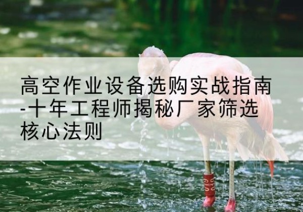 三沙剪叉式升降机厂家-高空作业设备选购实战指南-十年工程师揭秘厂家筛选核心法则